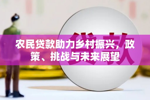 施甸农民贷款助力乡村振兴，政策、挑战与未来展望