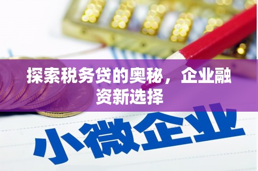 固镇探索税务贷的奥秘，企业融资新选择