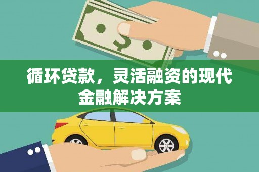射阳循环贷款，灵活融资的现代金融解决方案