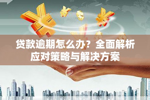 孟村贷款逾期怎么办？全面解析应对策略与解决方案