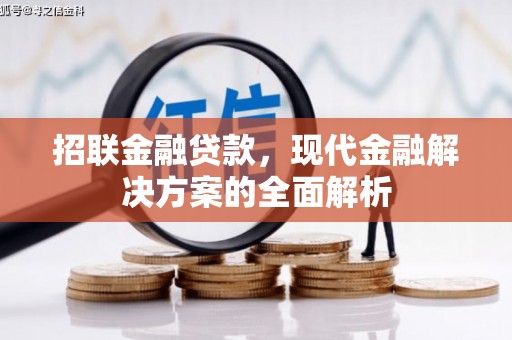 泾阳招联金融贷款，现代金融解决方案的全面解析