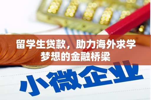 怀化留学生贷款，助力海外求学梦想的金融桥梁