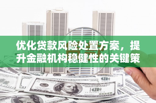 邢台优化贷款风险处置方案，提升金融机构稳健性的关键策略