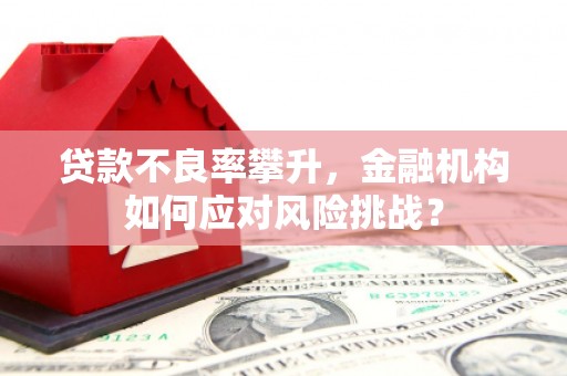 新邱贷款不良率攀升，金融机构如何应对风险挑战？
