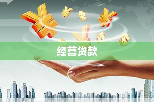 龙子湖经营贷款