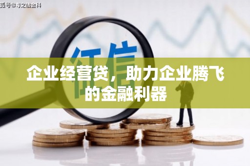 西林企业经营贷，助力企业腾飞的金融利器