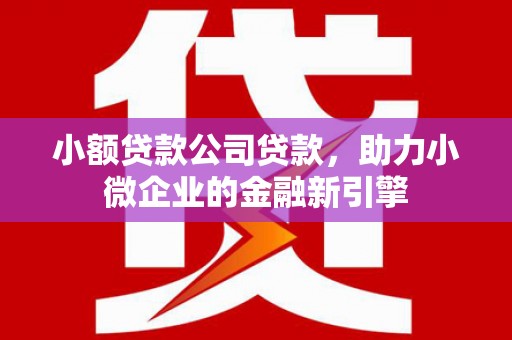 合山小额贷款公司贷款，助力小微企业的金融新引擎
