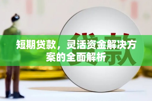 安仁短期贷款，灵活资金解决方案的全面解析