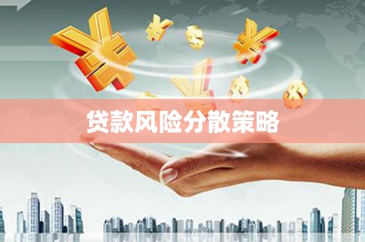聂荣贷款风险分散策略