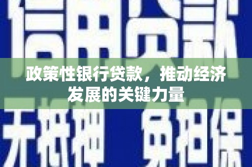 东城政策性银行贷款，推动经济发展的关键力量