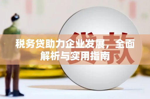横沥税务贷助力企业发展，全面解析与实用指南