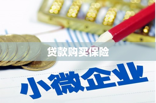 隆德贷款购买保险