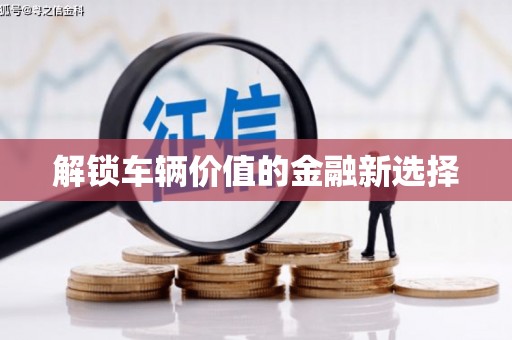 西双版纳解锁车辆价值的金融新选择