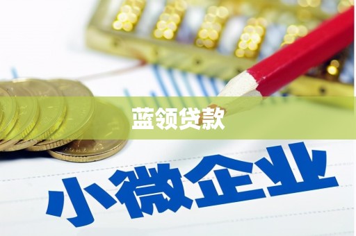 学甲蓝领贷款