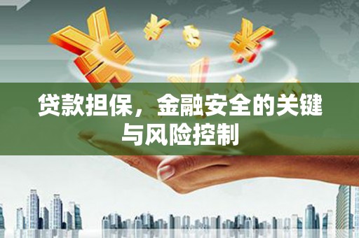 成武贷款担保，金融安全的关键与风险控制