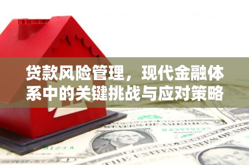 花溪贷款风险管理，现代金融体系中的关键挑战与应对策略
