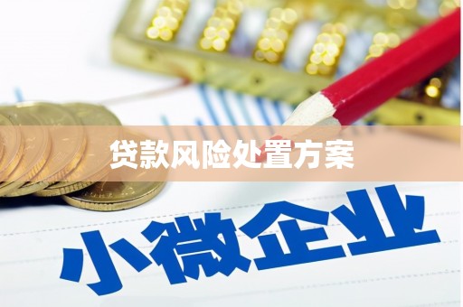 齐河贷款风险处置方案
