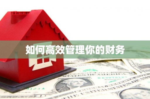 雷州如何高效管理你的财务