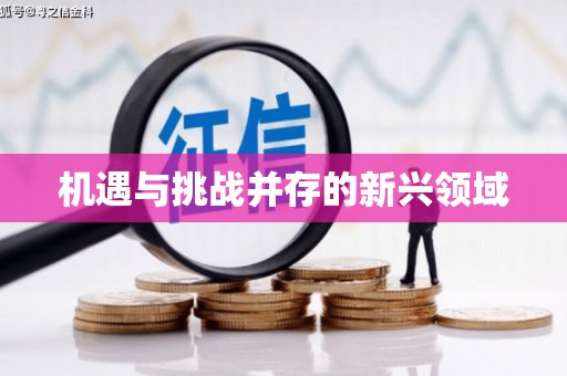 邢台机遇与挑战并存的新兴领域