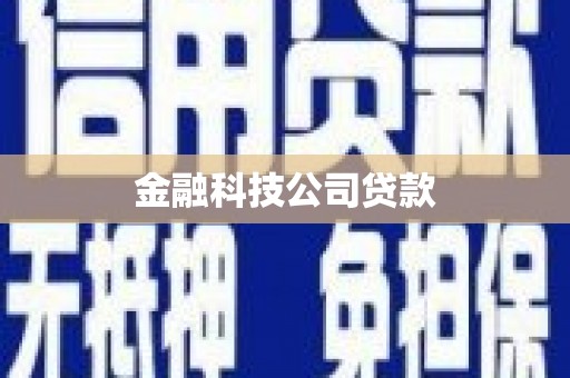 林州金融科技公司贷款