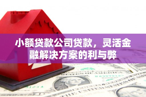 城中小额贷款公司贷款，灵活金融解决方案的利与弊