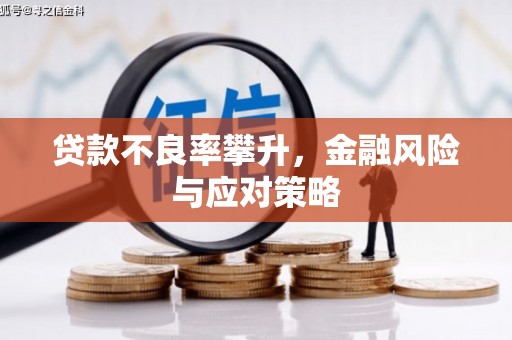 龙崎贷款不良率攀升，金融风险与应对策略